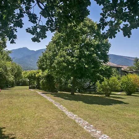 Leccio 7 Apartament *